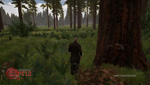 Đôi nét về game Chronicles of Elyria (Phần 1)
